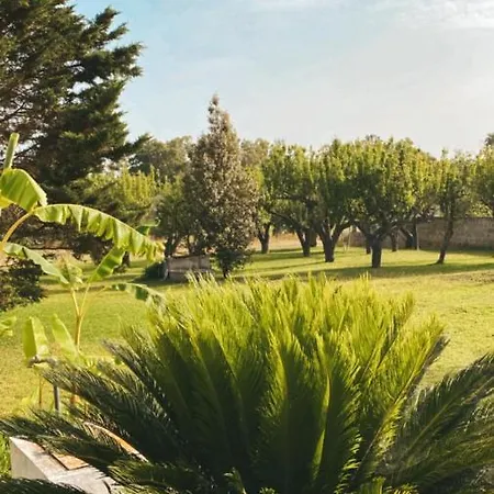 Borghetto A Sud - 15 Minuti Da Gallipoli Tatil Evi Aradeo
